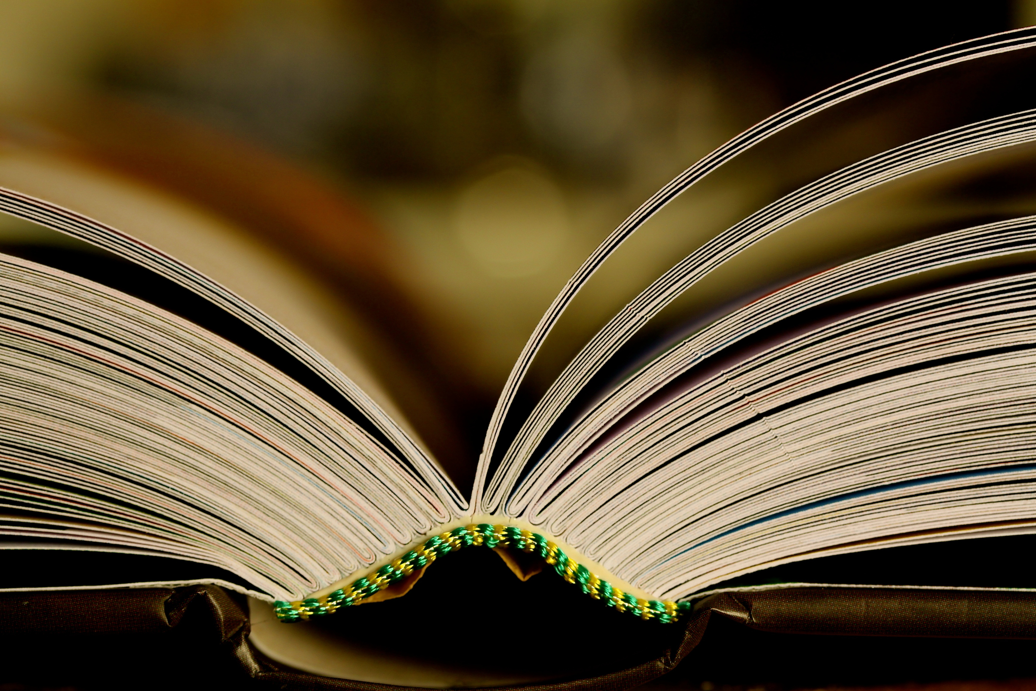 Photo of an open book seen from its binding at the top and bathed in a golden light