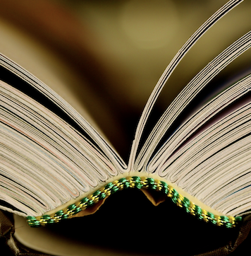 Photo of an open book seen from its binding at the top and bathed in a golden light